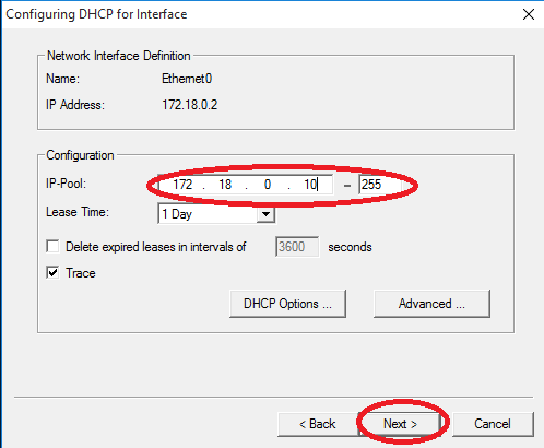 Configuring DHCP for Interface window